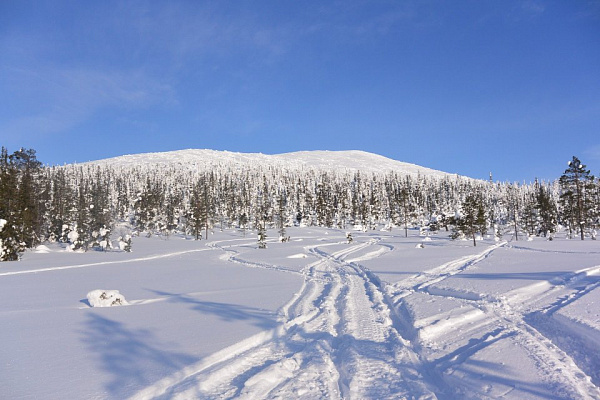Катание на снегоходах в Волгограде в подарок. Сервис Ultra Подарки
. Подарочный сертификат на катание на снегоходах в Волгограде с друзьями. Закажите прокат снегоходов в подарок для мужчины по привлекательным ценам. Живописные маршруты для езды на снегоходах это отличная возможность активного отдыха. Сервис UltraPodarki.ru 8 800 505 95 30. катание на снегоходах, подарочный сертификат на катание на снегоходе, прокат снегоходов, прокат снегоходов Волгоград, катание на снегоходах Волгоград, езда на снегоходе