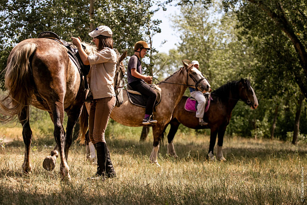 Конная прогулка в Волгограде. Подарочные сертификаты Ultra Подарки. Купить оригинальный подарок или подарочный сертификат на Конную прогулка в Волгограде. Сервис UltraPodarki.ru 8-800-505-9530. Катание на лошадях, Прогулка на лошади, Прогулка на лошадях, кони, конный клуб, конный клуб Солнечная долина, конная прогулка, конная прогулка в Волгограде