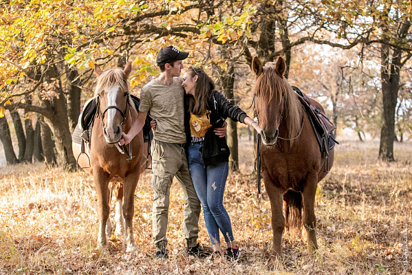 Конная прогулка для двоих в Волгограде. Подарочные сертификаты Ultra Подарки. Купить оригинальный подарок или подарочный сертификат на Конную прогулка для двоих в Волгограде. Сервис UltraPodarki.ru 8-800-505-9530. Катание на лошадях, Прогулка на лошади, Прогулка на лошадях для двоих, кони, конный клуб, конный клуб Солнечная долина, конная прогулка, конная прогулка в Волгограде