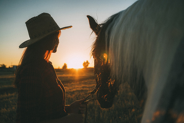 Конная прогулка в Волгограде. Подарочные сертификаты Ultra Подарки. Купить оригинальный подарок или подарочный сертификат на Конную прогулка в Волгограде. Сервис UltraPodarki.ru 8-800-505-9530. Катание на лошадях, Прогулка на лошади, Прогулка на лошадях, кони, конный клуб, конный клуб Солнечная долина, конная прогулка, конная прогулка в Волгограде
