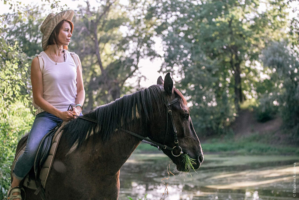 Конная прогулка в Волгограде. Подарочные сертификаты Ultra Подарки. Купить оригинальный подарок или подарочный сертификат на Конную прогулка в Волгограде. Сервис UltraPodarki.ru 8-800-505-9530. Катание на лошадях, Прогулка на лошади, Прогулка на лошадях, кони, конный клуб, конный клуб Солнечная долина, конная прогулка, конная прогулка в Волгограде