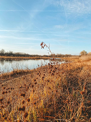 Конная прогулка для двоих в Волгограде. Подарочные сертификаты Ultra Подарки. Купить оригинальный подарок или подарочный сертификат на Конную прогулка для двоих в Волгограде. Сервис UltraPodarki.ru 8-800-505-9530. Катание на лошадях, Прогулка на лошади, Прогулка на лошадях для двоих, кони, конный клуб, конный клуб Солнечная долина, конная прогулка, конная прогулка в Волгограде