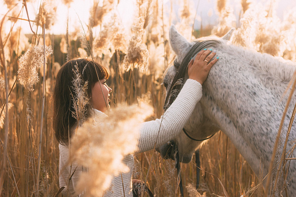 Конная прогулка в Волгограде. Подарочные сертификаты Ultra Подарки. Купить оригинальный подарок или подарочный сертификат на Конную прогулка в Волгограде. Сервис UltraPodarki.ru 8-800-505-9530. Катание на лошадях, Прогулка на лошади, Прогулка на лошадях, кони, конный клуб, конный клуб Солнечная долина, конная прогулка, конная прогулка в Волгограде