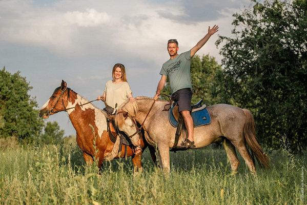 Конная прогулка для двоих в Волгограде. Подарочные сертификаты Ultra Подарки. Купить оригинальный подарок или подарочный сертификат на Конную прогулка для двоих в Волгограде. Сервис UltraPodarki.ru 8-800-505-9530. Катание на лошадях, Прогулка на лошади, Прогулка на лошадях для двоих, кони, конный клуб, конный клуб Солнечная долина, конная прогулка, конная прогулка в Волгограде