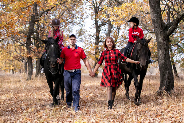 Конная прогулка в Волгограде. Подарочные сертификаты Ultra Подарки. Купить оригинальный подарок или подарочный сертификат на Конную прогулка в Волгограде. Сервис UltraPodarki.ru 8-800-505-9530. Катание на лошадях, Прогулка на лошади, Прогулка на лошадях, кони, конный клуб, конный клуб Солнечная долина, конная прогулка, конная прогулка в Волгограде