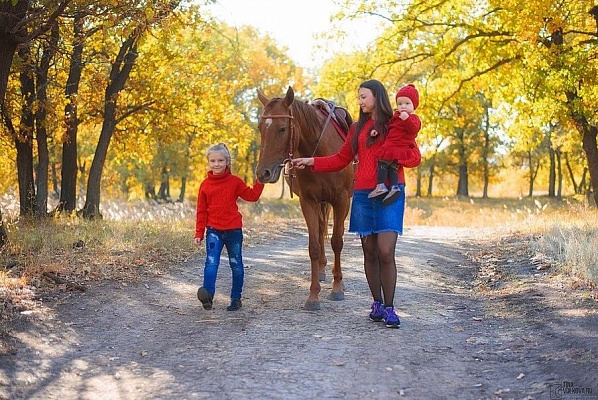 Конная прогулка в Волгограде. Подарочные сертификаты Ultra Подарки. Купить оригинальный подарок или подарочный сертификат на Конную прогулка в Волгограде. Сервис UltraPodarki.ru 8-800-505-9530. Катание на лошадях, Прогулка на лошади, Прогулка на лошадях, кони, конный клуб, конный клуб Солнечная долина, конная прогулка, конная прогулка в Волгограде