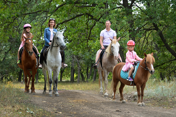 Конная прогулка в Волгограде. Подарочные сертификаты Ultra Подарки. Купить оригинальный подарок или подарочный сертификат на Конную прогулка в Волгограде. Сервис UltraPodarki.ru 8-800-505-9530. Катание на лошадях, Прогулка на лошади, Прогулка на лошадях, кони, конный клуб, конный клуб Солнечная долина, конная прогулка, конная прогулка в Волгограде