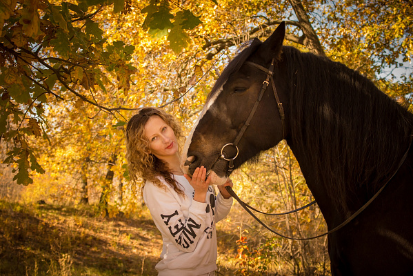 Конная прогулка в Волгограде. Подарочные сертификаты Ultra Подарки. Купить оригинальный подарок или подарочный сертификат на Конную прогулка в Волгограде. Сервис UltraPodarki.ru 8-800-505-9530. Катание на лошадях, Прогулка на лошади, Прогулка на лошадях, кони, конный клуб, конный клуб Солнечная долина, конная прогулка, конная прогулка в Волгограде