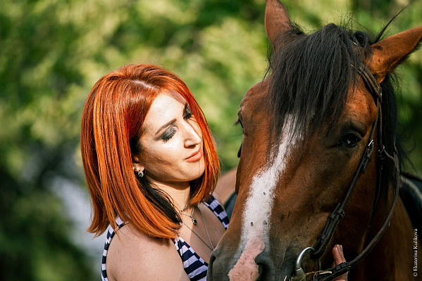 Конная прогулка для двоих в Волгограде. Подарочные сертификаты Ultra Подарки. Купить оригинальный подарок или подарочный сертификат на Конную прогулка для двоих в Волгограде. Сервис UltraPodarki.ru 8-800-505-9530. Катание на лошадях, Прогулка на лошади, Прогулка на лошадях для двоих, кони, конный клуб, конный клуб Солнечная долина, конная прогулка, конная прогулка в Волгограде