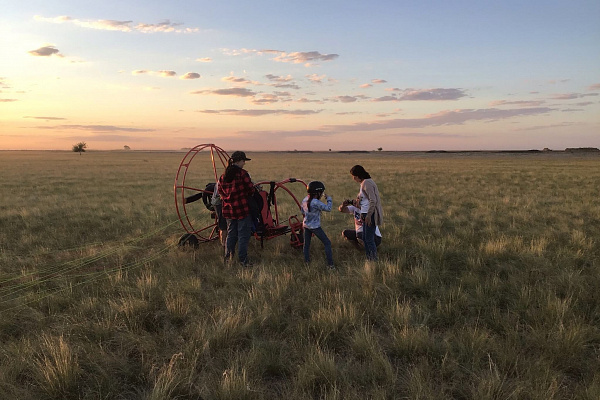 Полёт с инструктором на параплане в Волгограде. Ultra Подарки. Полёт с инструктором на параплане в Волгограде. Попробуйте полёт на двухместном параплане над столицей. Сервис: UltraPodarki.ru 8 800 505 95 30. Полёт на параплане, полёт на параплане Волгоград, полёт с инструктором на параплане Волгоград, полёт с инструктором на параплане, параплан Волгоград, параплан, парапланеризм Волгоград, купить параплан Волгоград