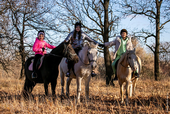 Конная прогулка в Волгограде. Подарочные сертификаты Ultra Подарки. Купить оригинальный подарок или подарочный сертификат на Конную прогулка в Волгограде. Сервис UltraPodarki.ru 8-800-505-9530. Катание на лошадях, Прогулка на лошади, Прогулка на лошадях, кони, конный клуб, конный клуб Солнечная долина, конная прогулка, конная прогулка в Волгограде