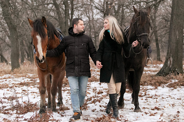 Конная прогулка в Волгограде. Подарочные сертификаты Ultra Подарки. Купить оригинальный подарок или подарочный сертификат на Конную прогулка в Волгограде. Сервис UltraPodarki.ru 8-800-505-9530. Катание на лошадях, Прогулка на лошади, Прогулка на лошадях, кони, конный клуб, конный клуб Солнечная долина, конная прогулка, конная прогулка в Волгограде