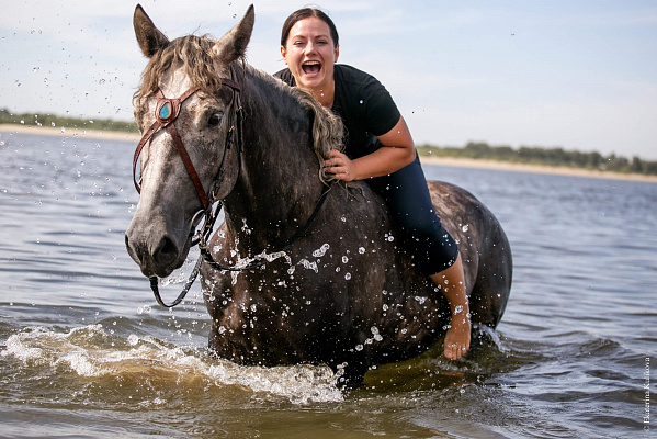 Конная прогулка для двоих в Волгограде. Подарочные сертификаты Ultra Подарки. Купить оригинальный подарок или подарочный сертификат на Конную прогулка для двоих в Волгограде. Сервис UltraPodarki.ru 8-800-505-9530. Катание на лошадях, Прогулка на лошади, Прогулка на лошадях для двоих, кони, конный клуб, конный клуб Солнечная долина, конная прогулка, конная прогулка в Волгограде