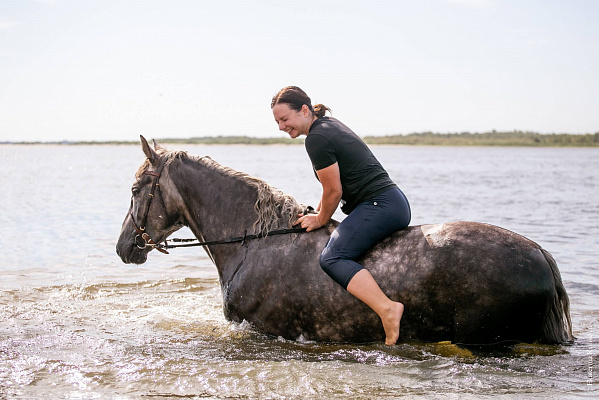 Конная прогулка в Волгограде. Подарочные сертификаты Ultra Подарки. Купить оригинальный подарок или подарочный сертификат на Конную прогулка в Волгограде. Сервис UltraPodarki.ru 8-800-505-9530. Катание на лошадях, Прогулка на лошади, Прогулка на лошадях, кони, конный клуб, конный клуб Солнечная долина, конная прогулка, конная прогулка в Волгограде