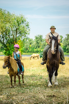 Конная прогулка в Волгограде. Подарочные сертификаты Ultra Подарки. Купить оригинальный подарок или подарочный сертификат на Конную прогулка в Волгограде. Сервис UltraPodarki.ru 8-800-505-9530. Катание на лошадях, Прогулка на лошади, Прогулка на лошадях, кони, конный клуб, конный клуб Солнечная долина, конная прогулка, конная прогулка в Волгограде