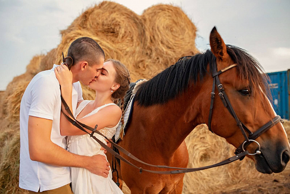 Конная прогулка в Волгограде. Подарочные сертификаты Ultra Подарки. Купить оригинальный подарок или подарочный сертификат на Конную прогулка в Волгограде. Сервис UltraPodarki.ru 8-800-505-9530. Катание на лошадях, Прогулка на лошади, Прогулка на лошадях, кони, конный клуб, конный клуб Солнечная долина, конная прогулка, конная прогулка в Волгограде