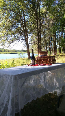 Конная прогулка для двоих в Волгограде. Подарочные сертификаты Ultra Подарки. Купить оригинальный подарок или подарочный сертификат на Конную прогулка для двоих в Волгограде. Сервис UltraPodarki.ru 8-800-505-9530. Катание на лошадях, Прогулка на лошади, Прогулка на лошадях для двоих, кони, конный клуб, конный клуб Солнечная долина, конная прогулка, конная прогулка в Волгограде