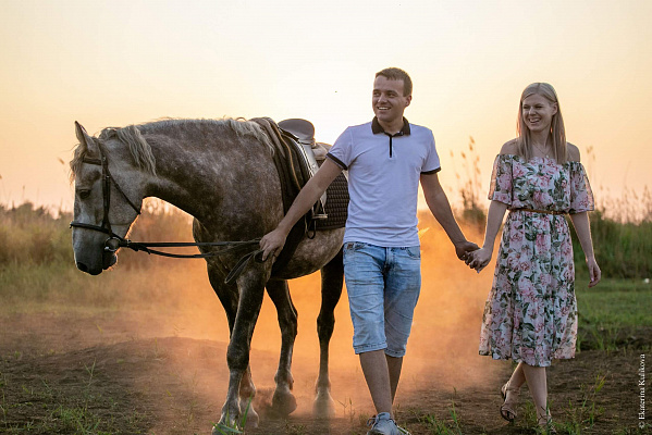 Конная прогулка в Волгограде. Подарочные сертификаты Ultra Подарки. Купить оригинальный подарок или подарочный сертификат на Конную прогулка в Волгограде. Сервис UltraPodarki.ru 8-800-505-9530. Катание на лошадях, Прогулка на лошади, Прогулка на лошадях, кони, конный клуб, конный клуб Солнечная долина, конная прогулка, конная прогулка в Волгограде